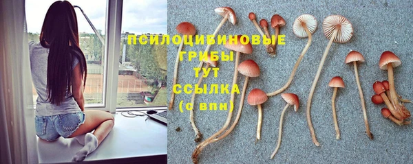 твердый Абдулино