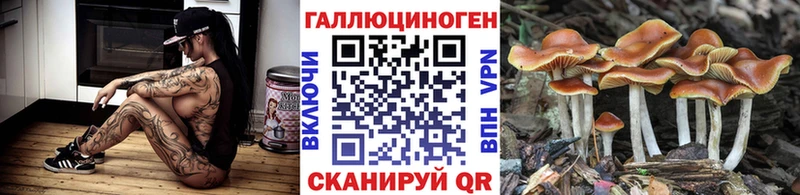 Псилоцибиновые грибы мицелий  цена   Севастополь 